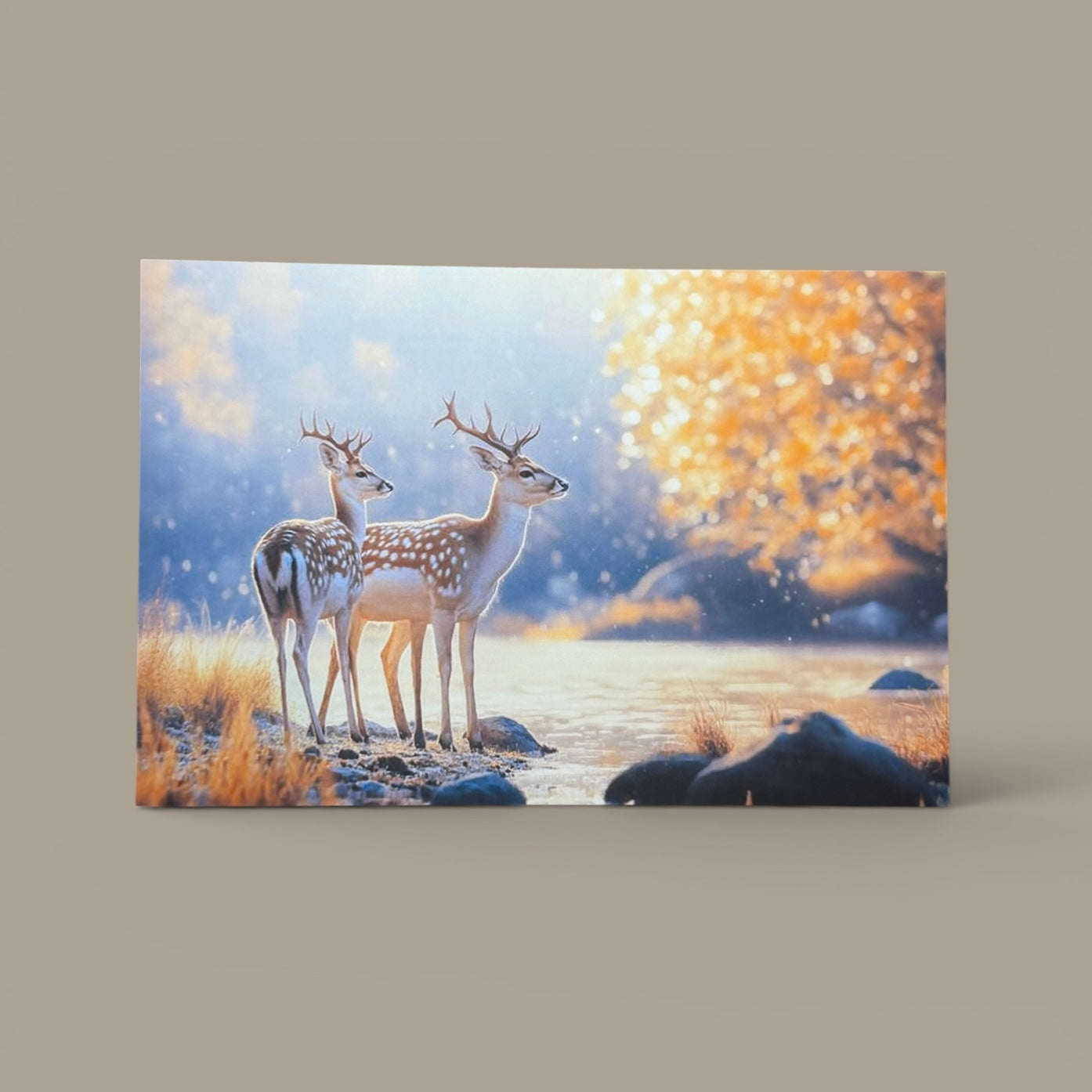 Woodland Series: Spotted Deer Postcard