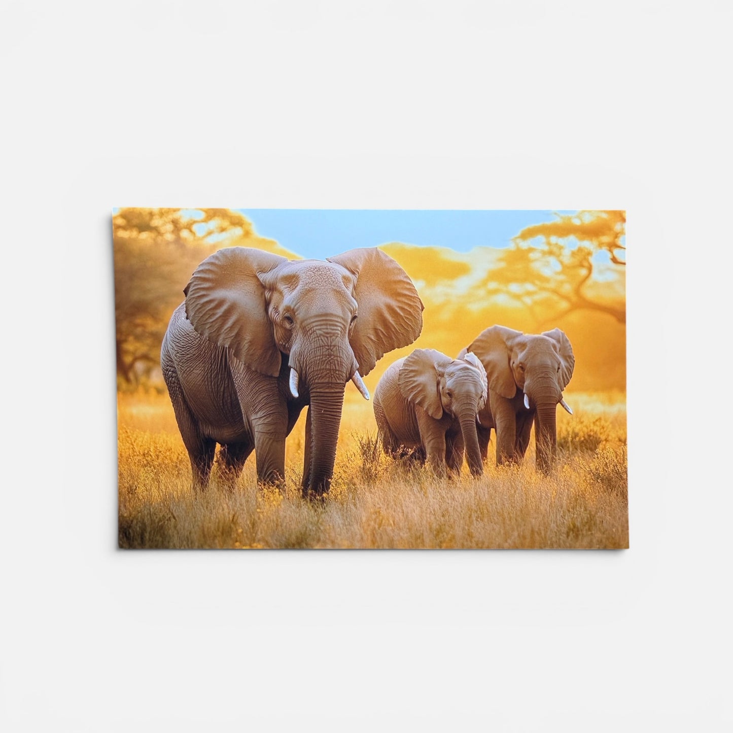 Safari Series: Elephant Family Postcard