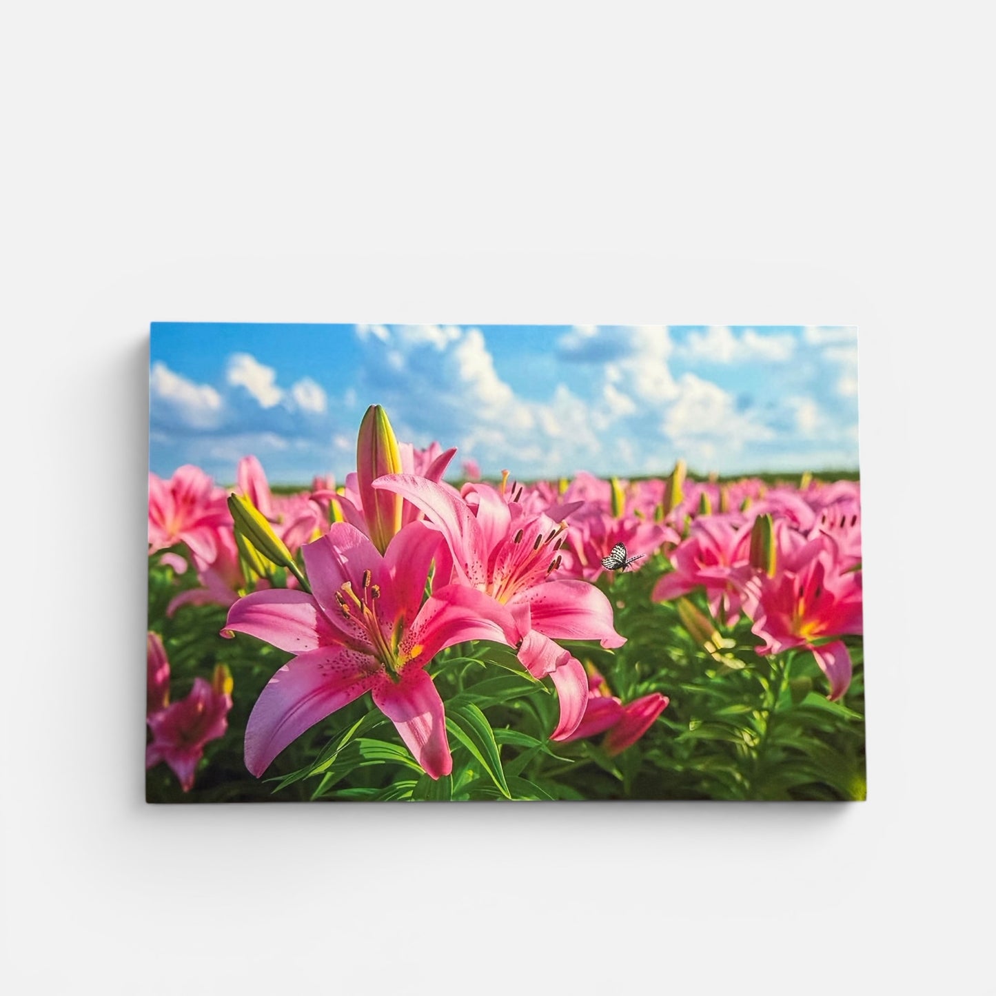 Nature Series: Pink Lilies Postcard
