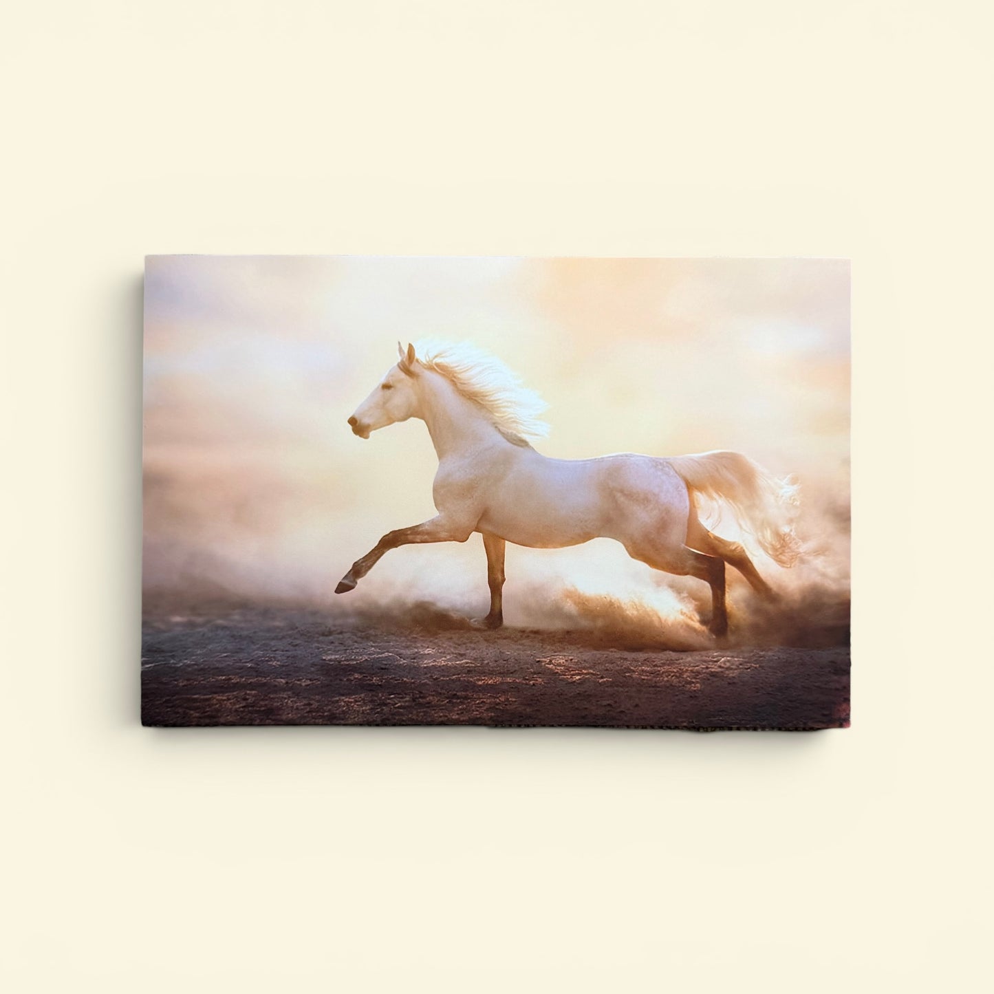 Horses Series: Running Arabian Postcard