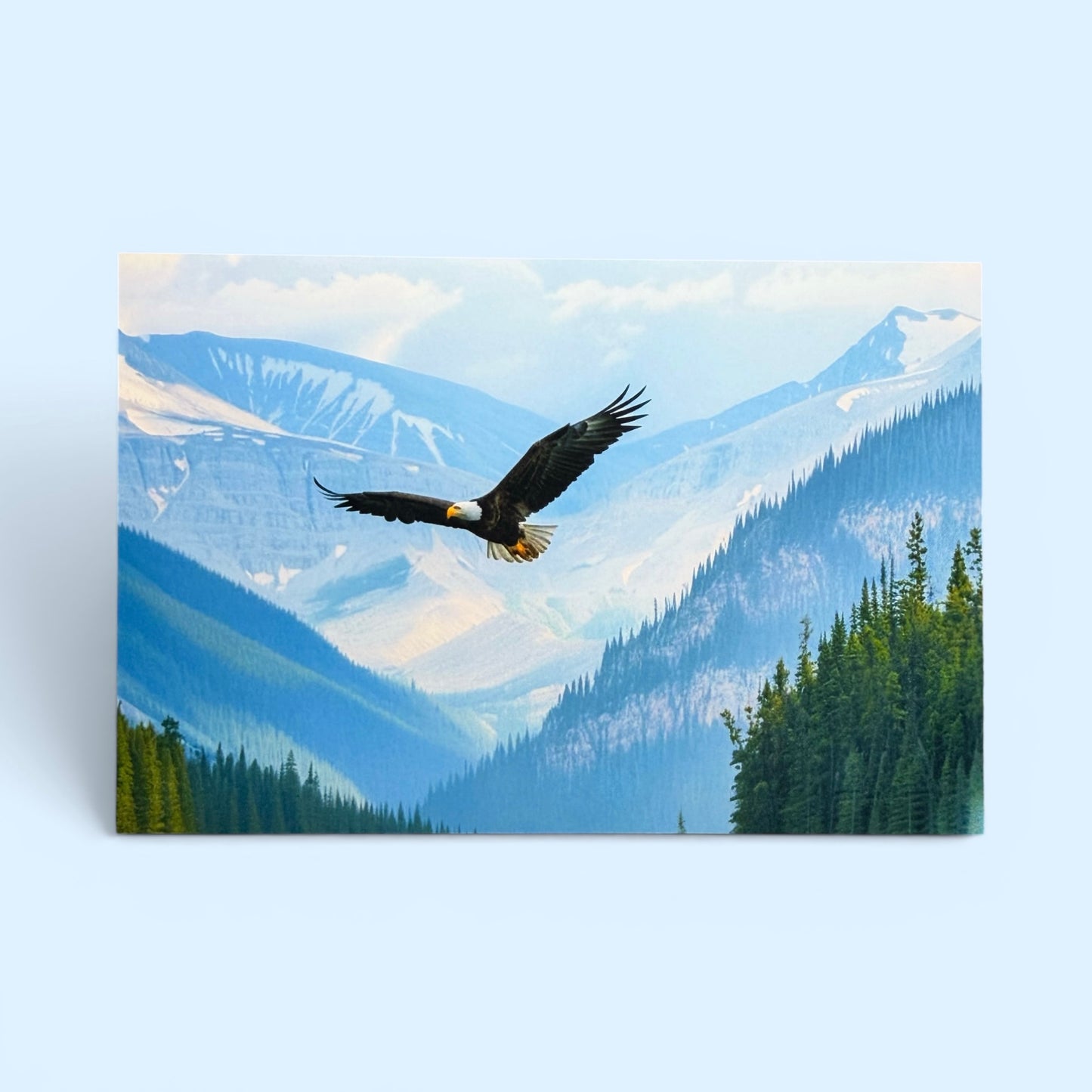 Bird Series: Soaring Eagle Painted Postcard