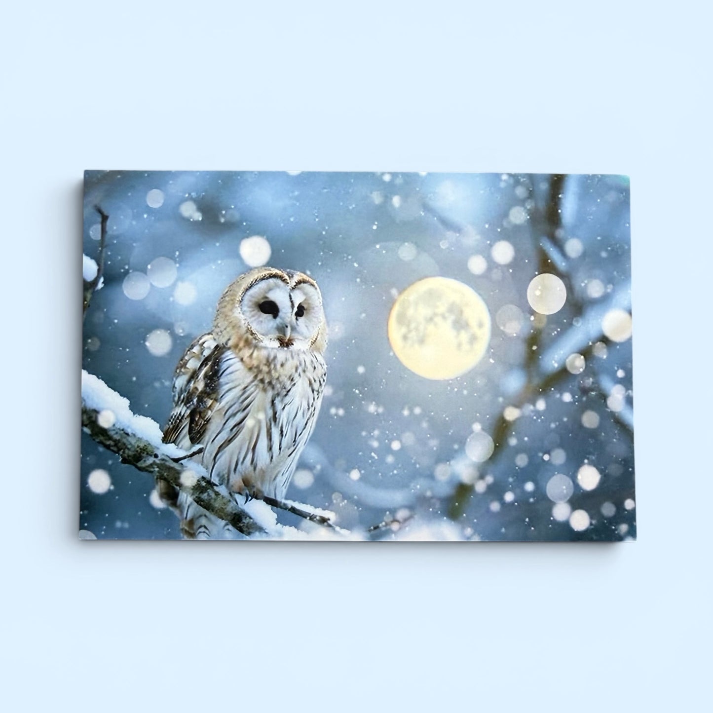 Bird Series: Moonlit Owl Postcard