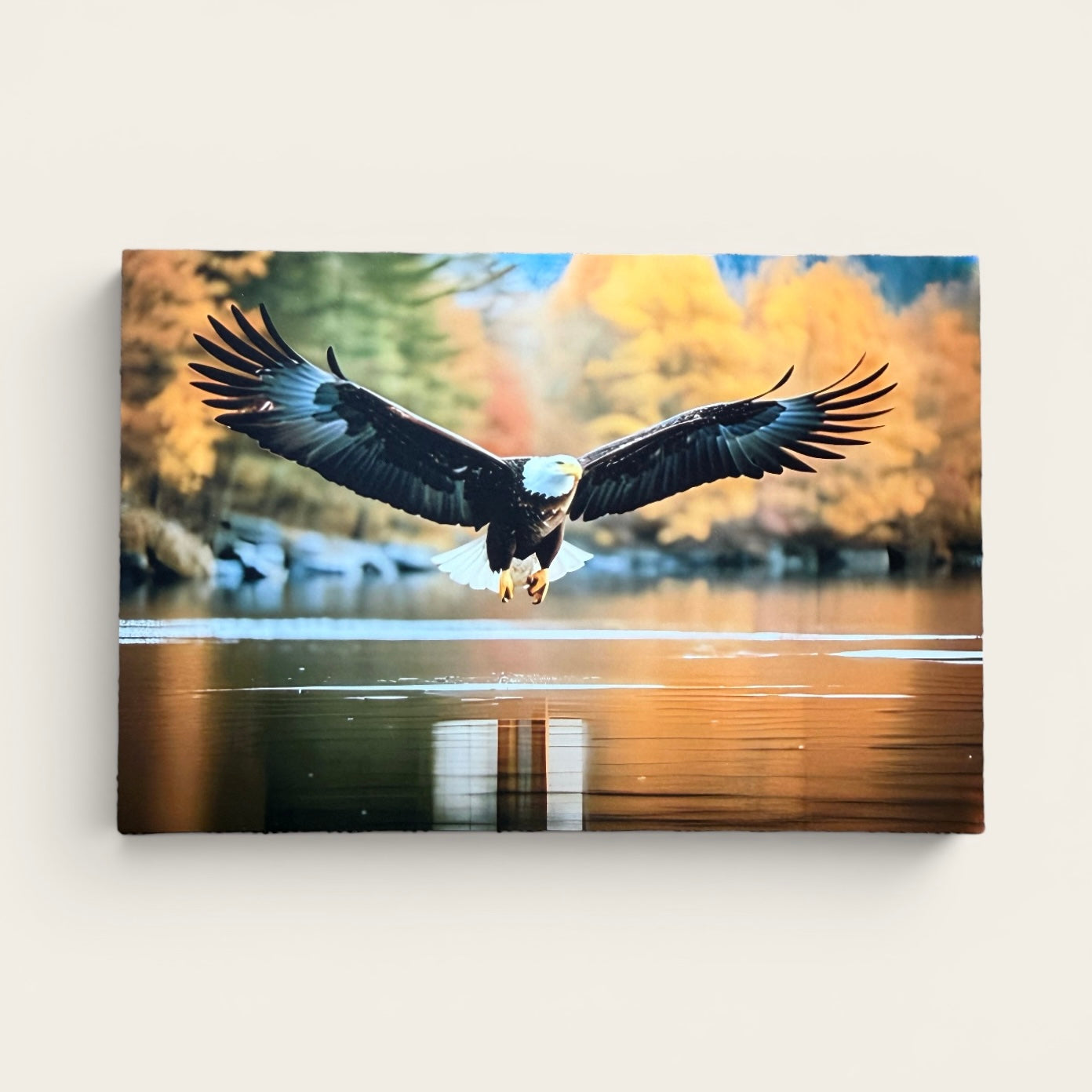 Bird Series: Gliding Eagle Postcard