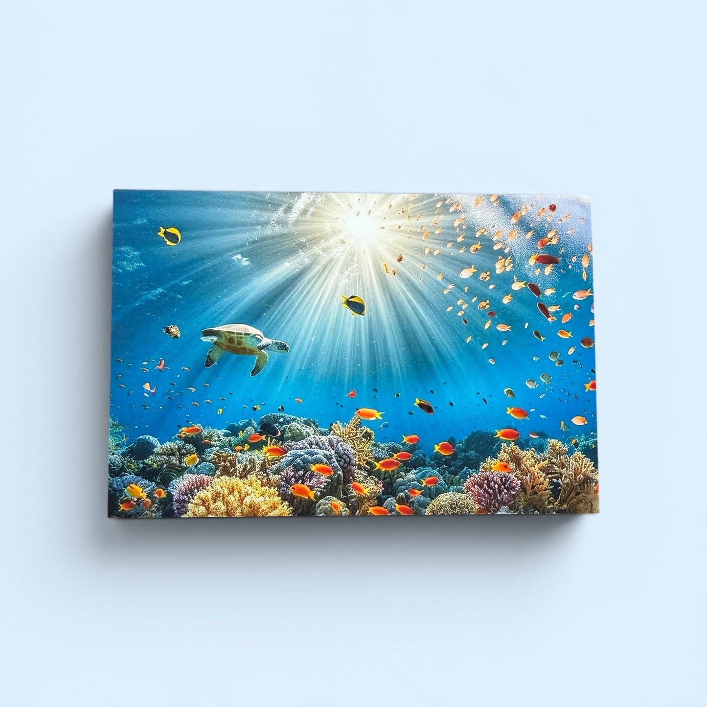 Sealife Series: Underwater Life Postcard