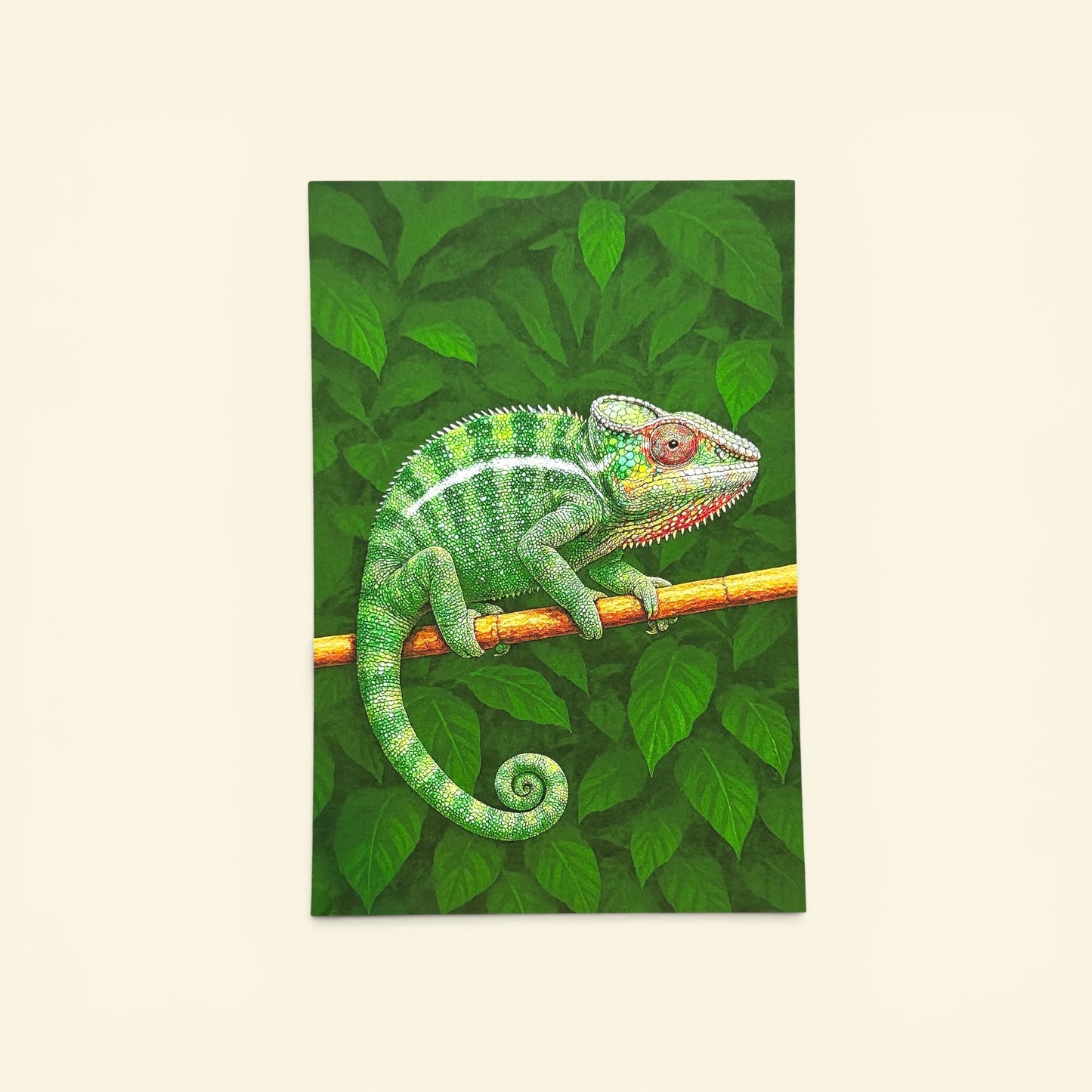 Jungle Series: Chameleon Postcard
