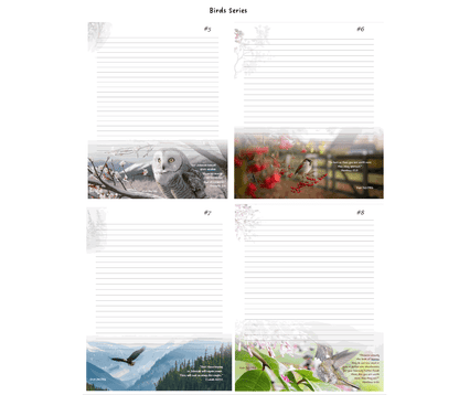 JW Borderless Letter Writing Stationery Set