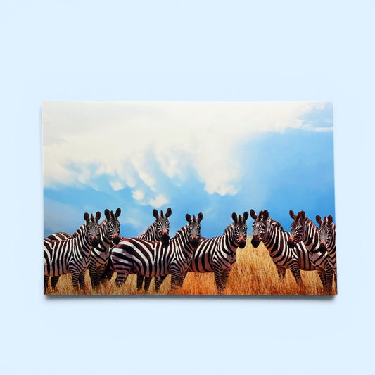 Safari Series: Zebra Herd Postcard