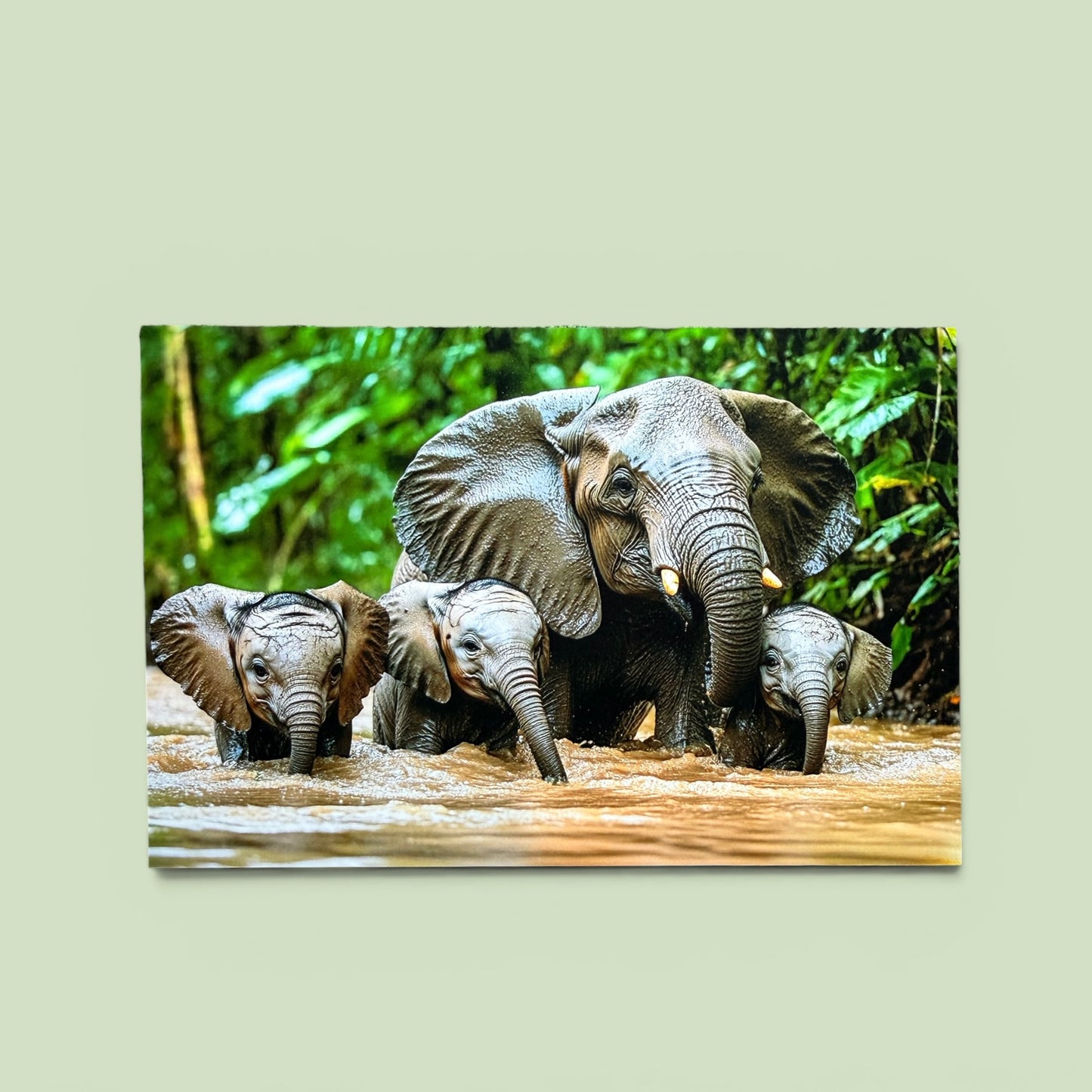 Safari Series: Elephant River Crossing Postcard
