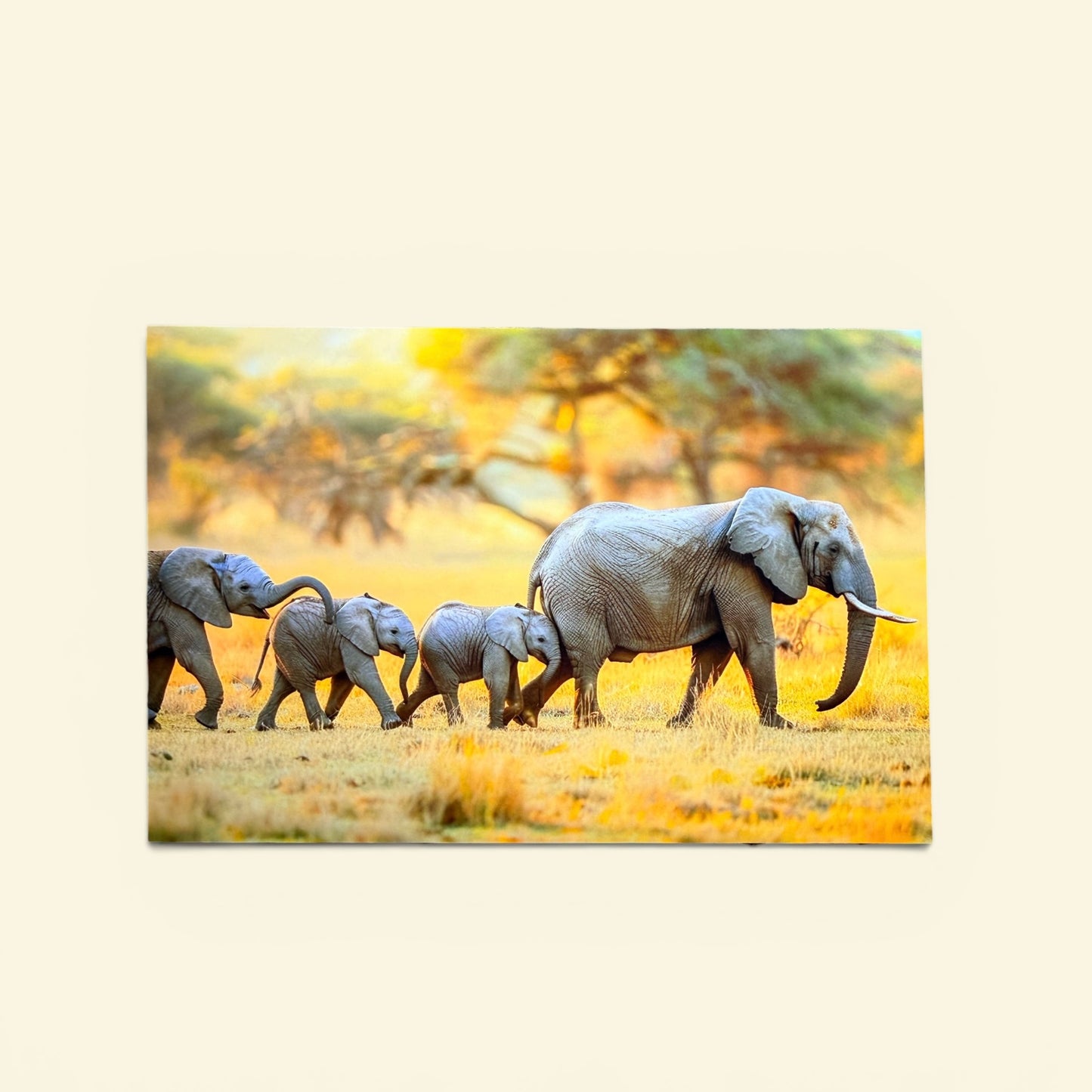 Safari Series: Elephant Parade Postcard