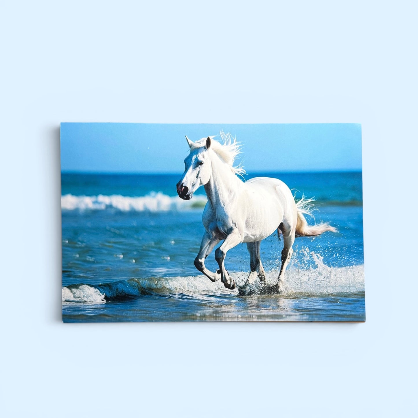 Horses Series: Running Camargue Postcard