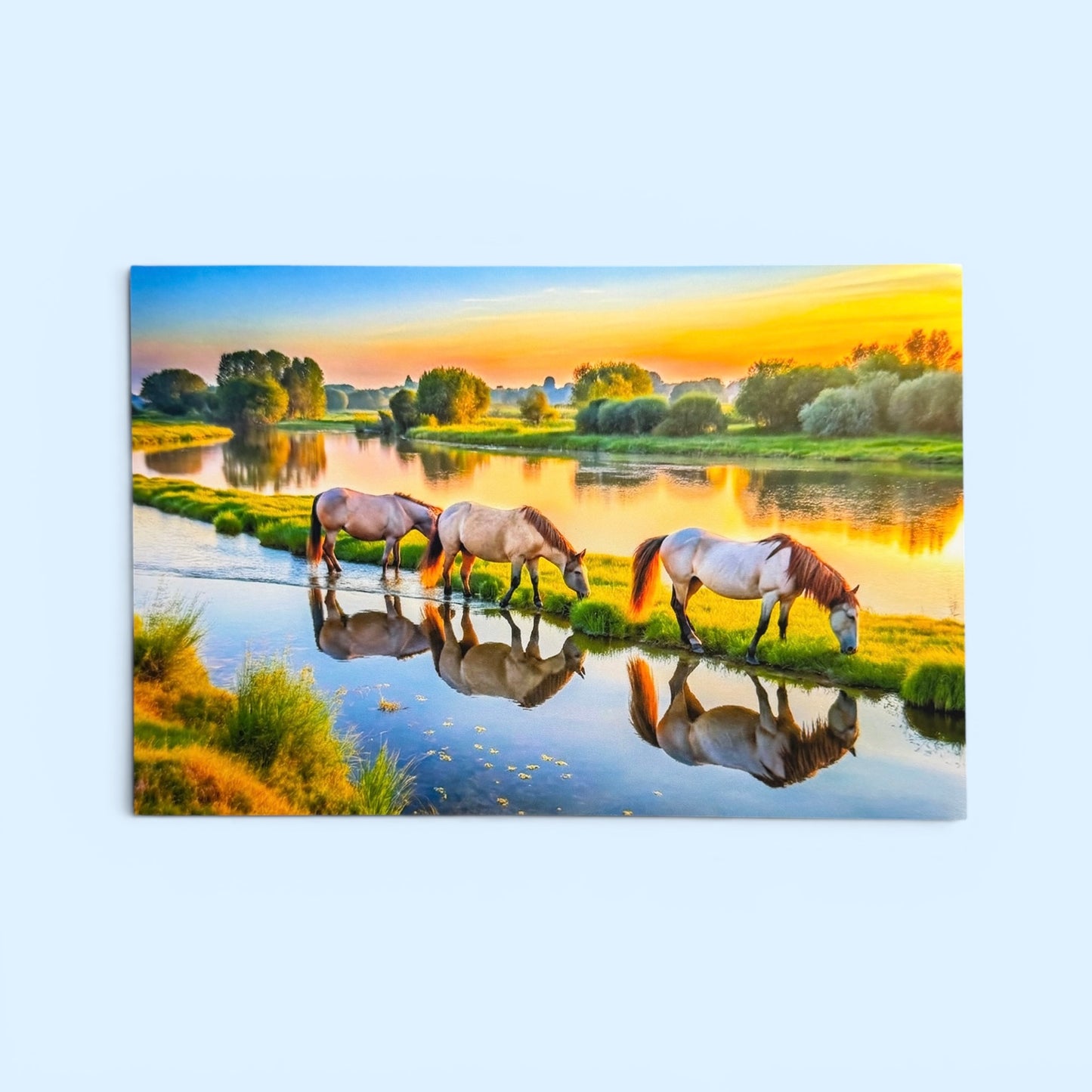 Horses Series: Roan Postcard