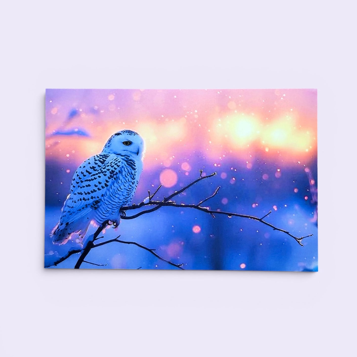 Bird Series: Owl Winter Watcher Postcard