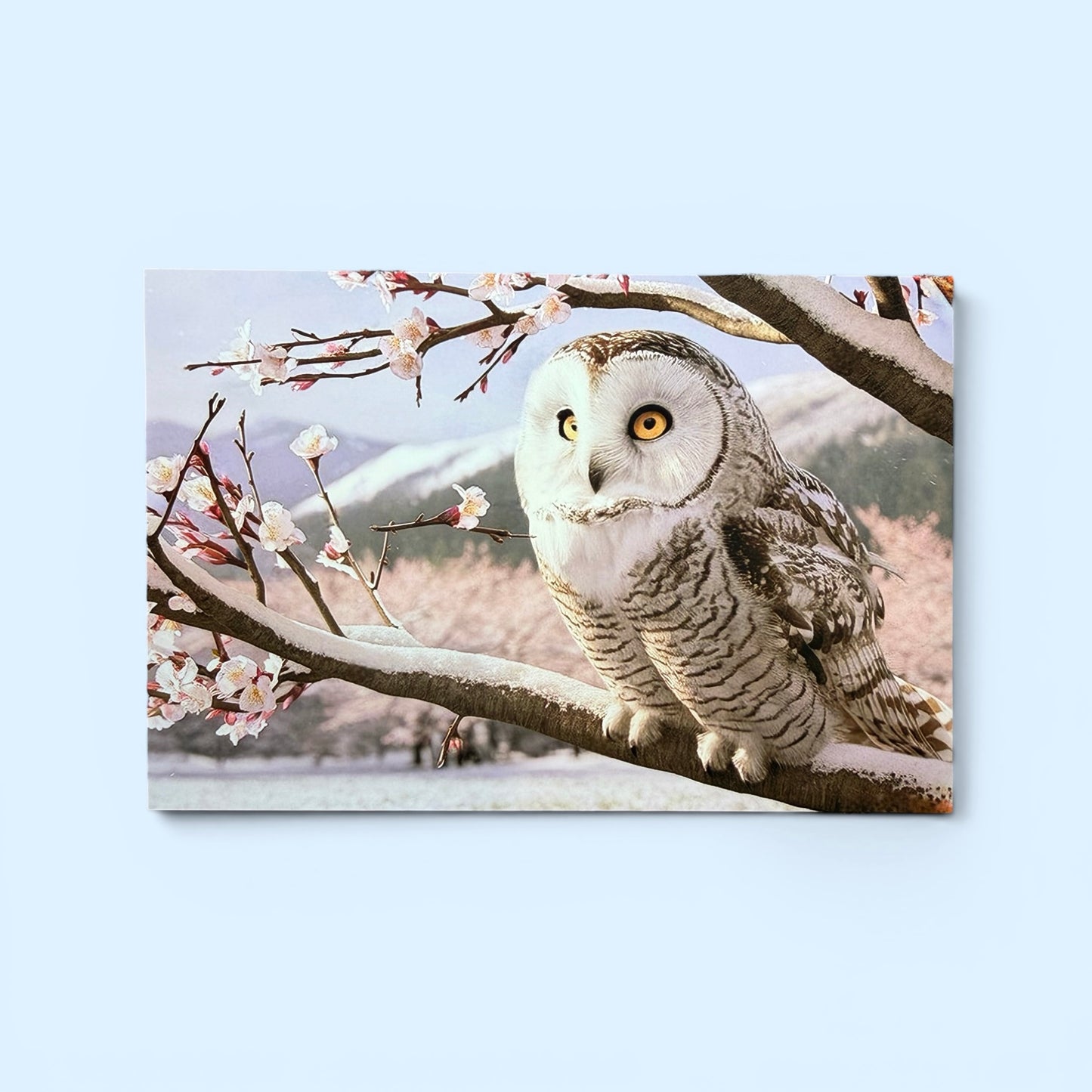 Bird Series: Owl in Cherry Blossoms Postcard