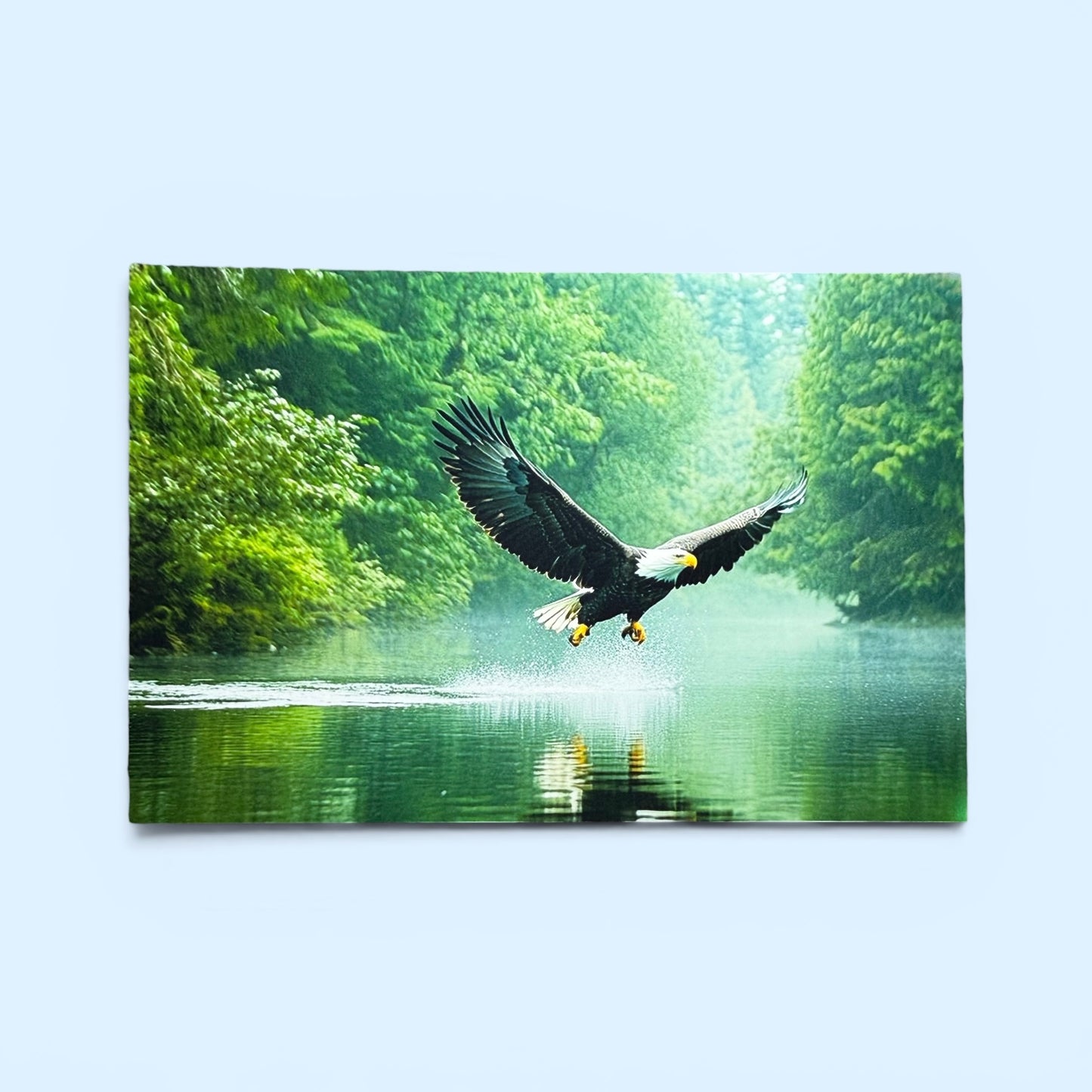 Bird Series: Eagle in Green Postcard