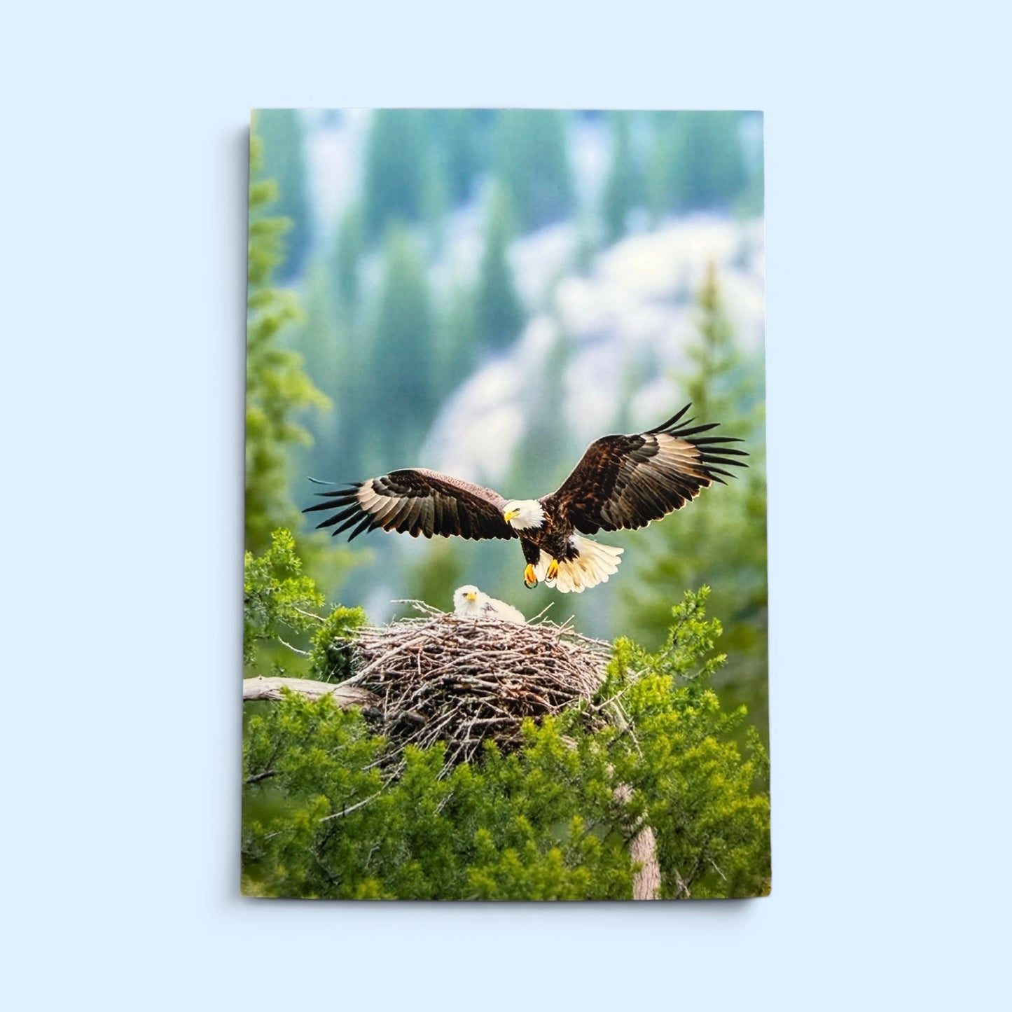 Bird Series: Eagle and Eaglet Postcard