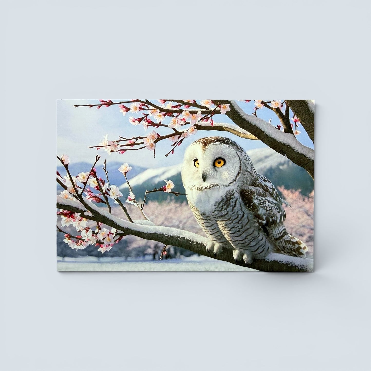 Bird Series: Owl in Cherry Blossoms Postcard