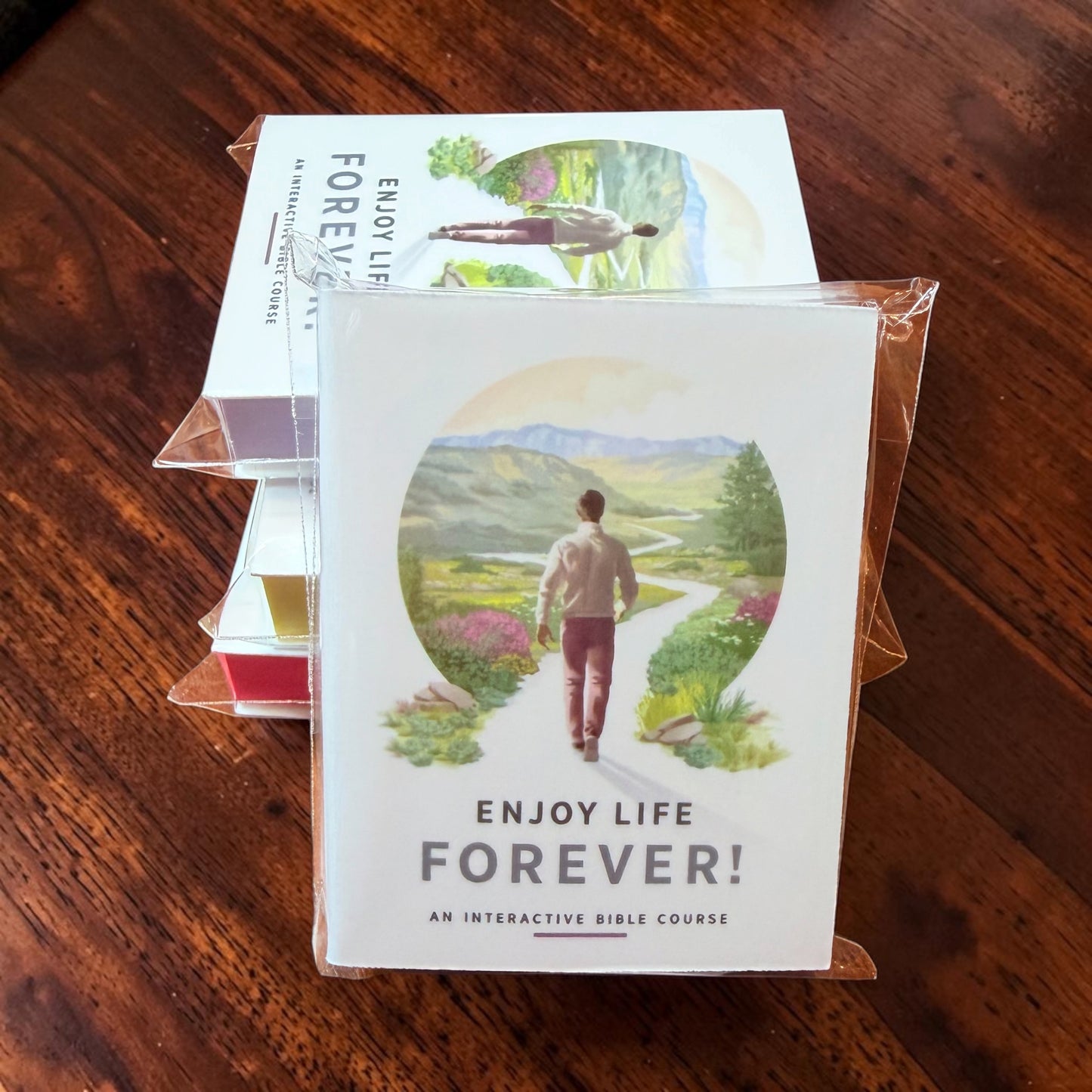 Covered Mini Sticky Notes - Enjoy Life Forever