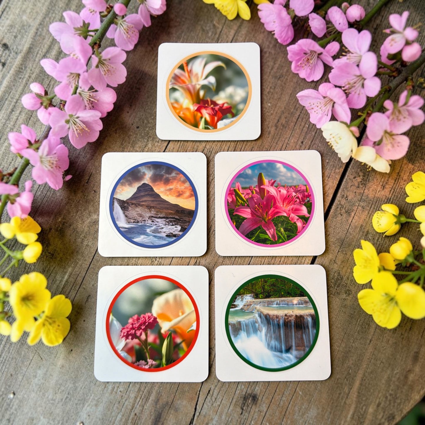 Stationery Companion Vinyl Sticker Set (Pk of 30)