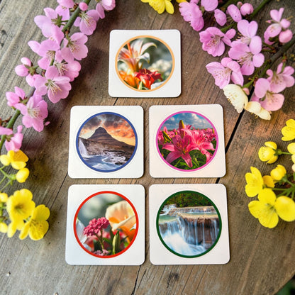 Stationery Companion Vinyl Sticker Set (Pk of 30)
