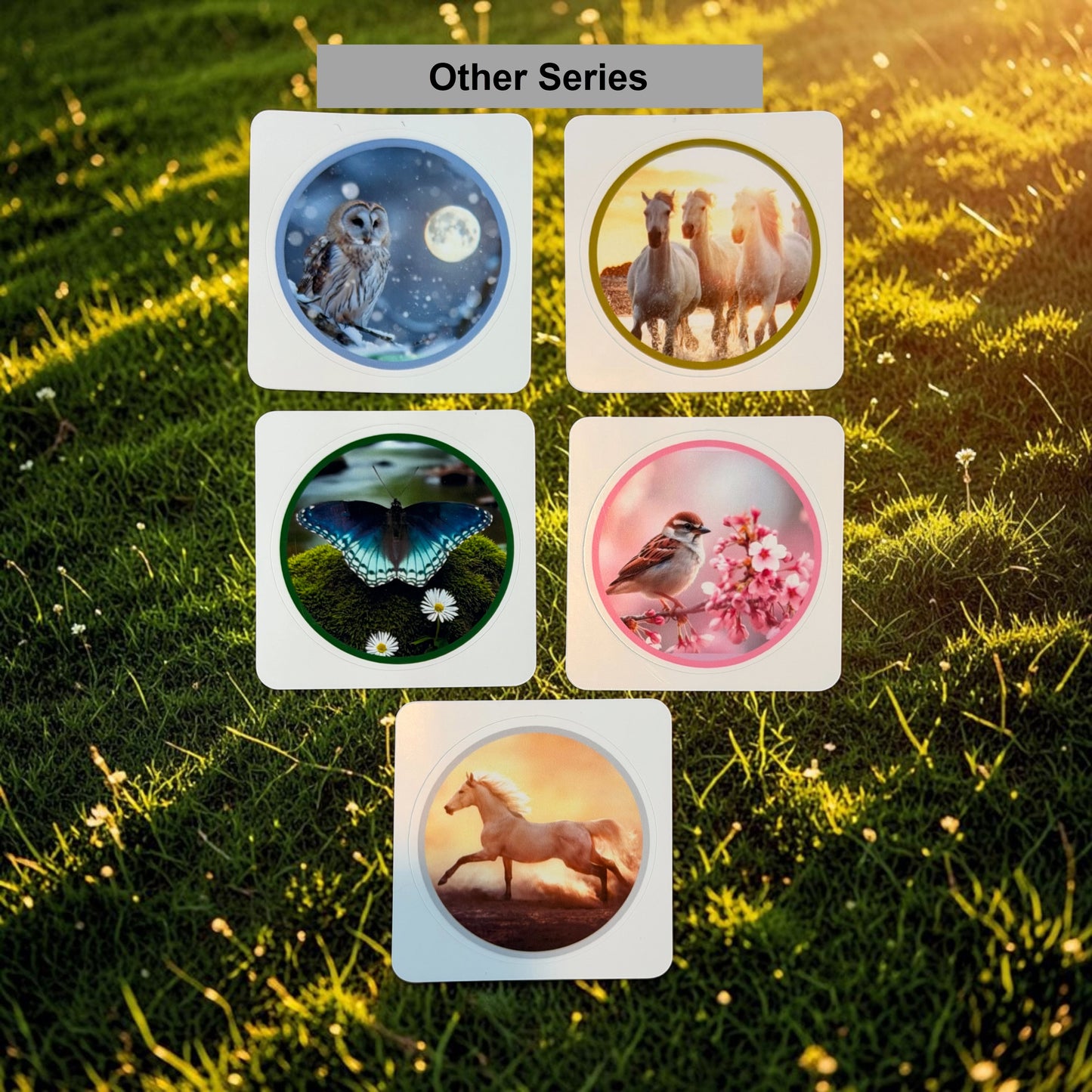 Greeting Card Companion Vinyl Sticker Set (Pk of 30)