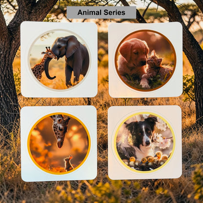 Greeting Card Companion Vinyl Sticker Set (Pk of 30)