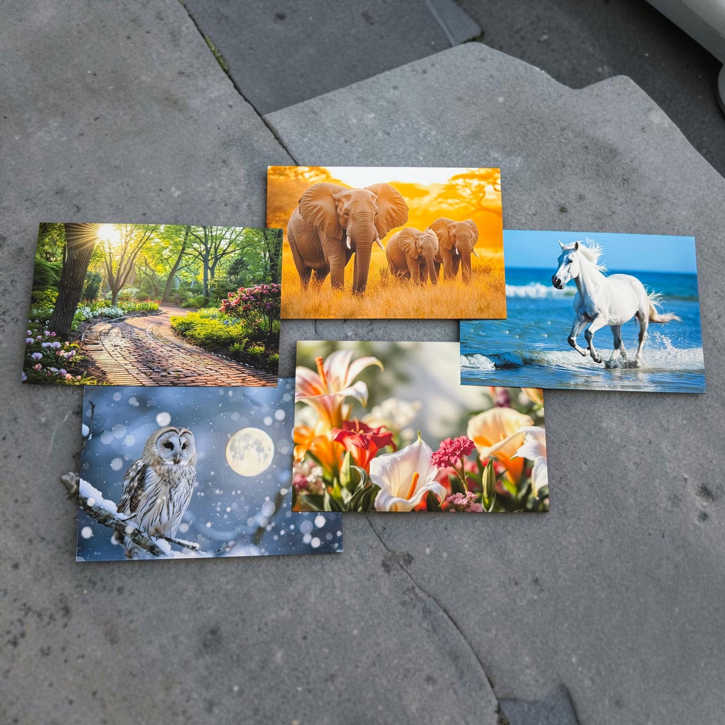 Postcards