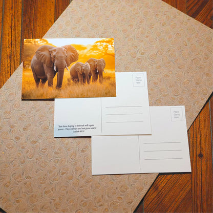 Postcards
