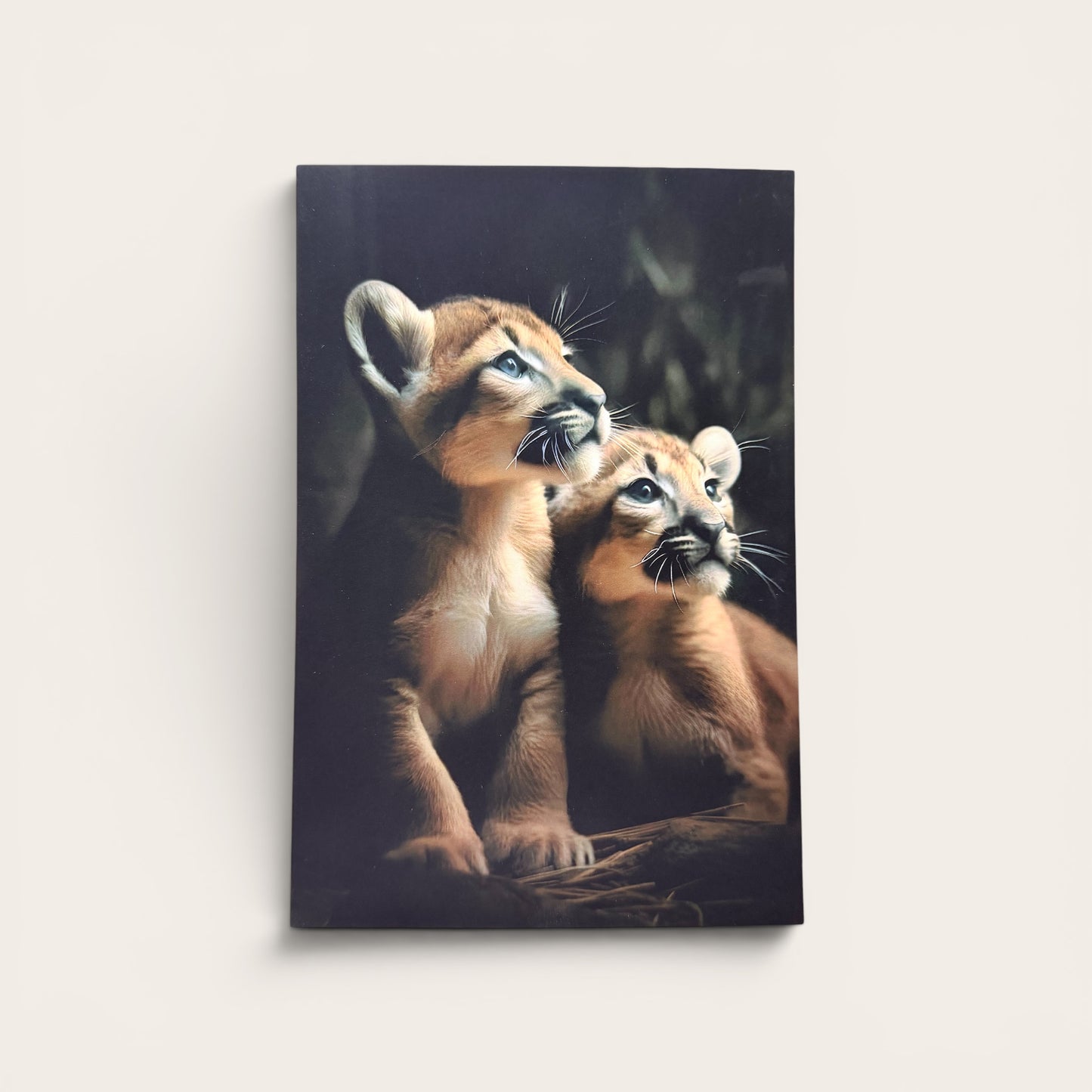 Two mountain lion cubs nestled together, gazing upward with wide blue eyes against a dark woodland backdrop