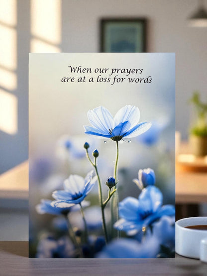Greeting Card Bundle