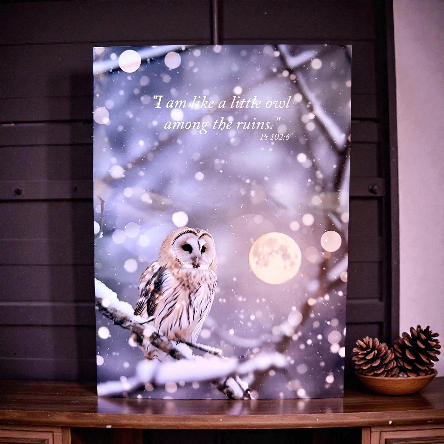 Owl Get Well Greeting Card (5x7) Psalm 102:6