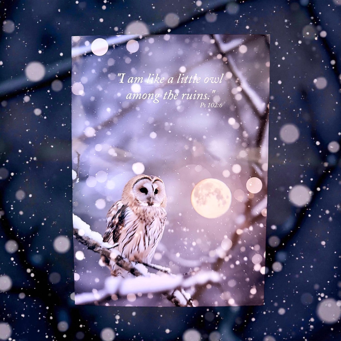 Owl Get Well Greeting Card (5x7) Psalm 102:6