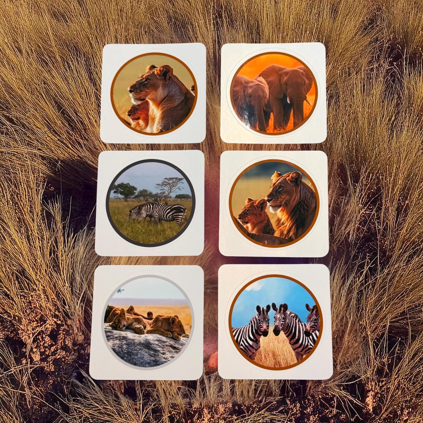 Stationery Companion Vinyl Sticker Set (Pk of 30)