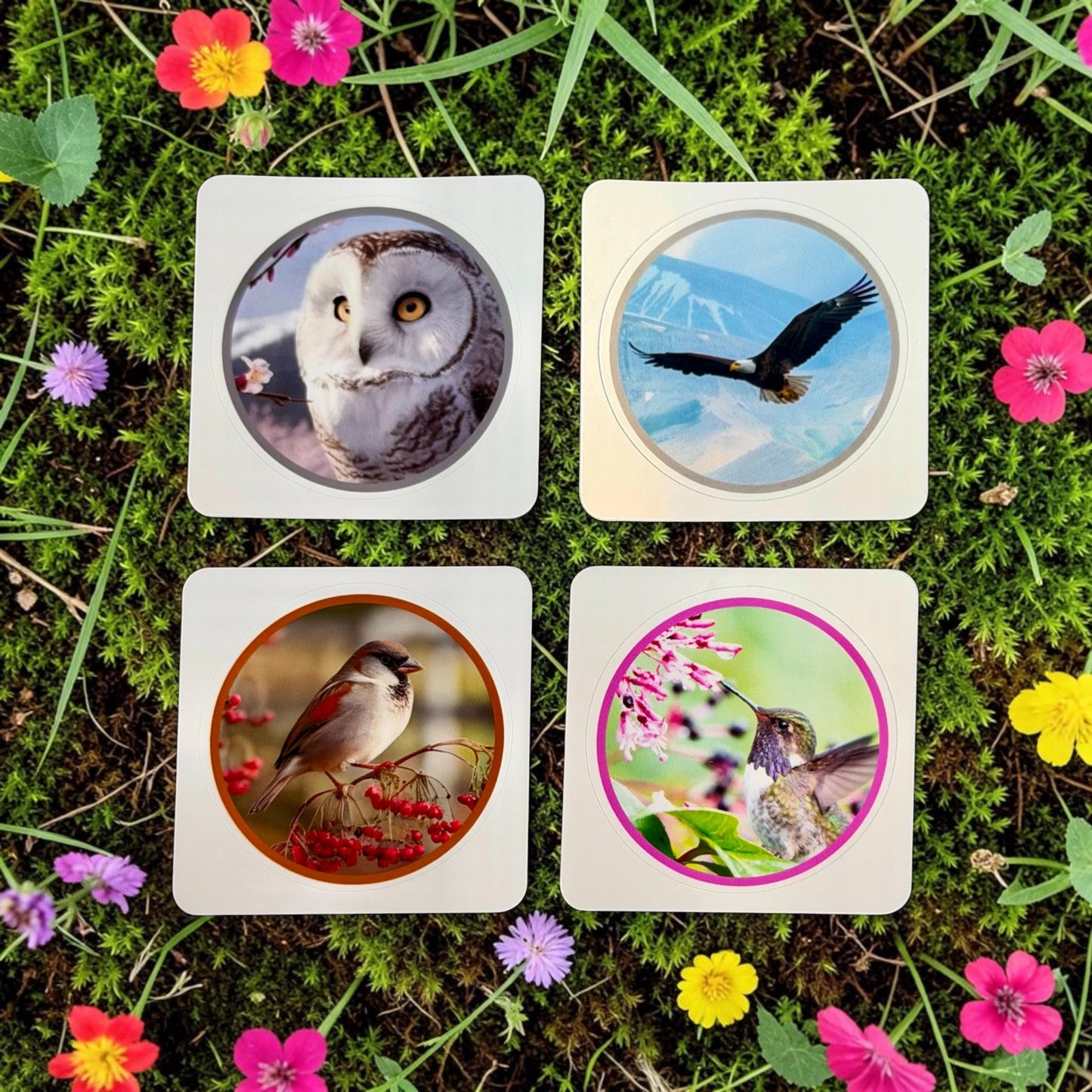 Stationery Companion Vinyl Sticker Set (Pk of 30)